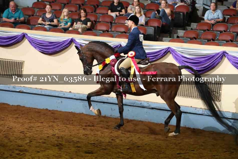 Proof 21YN_63586