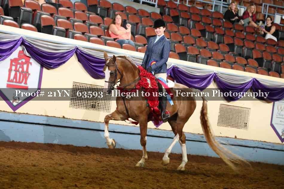 Proof 21YN_63593