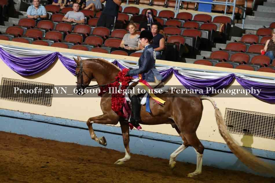Proof 21YN_63600