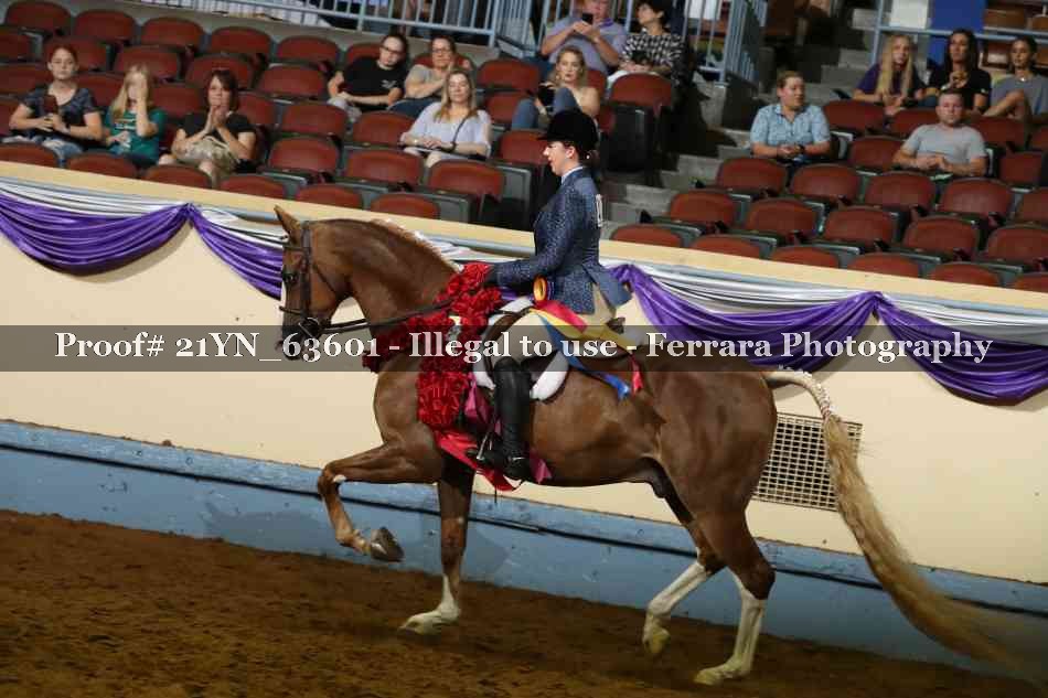 Proof 21YN_63601