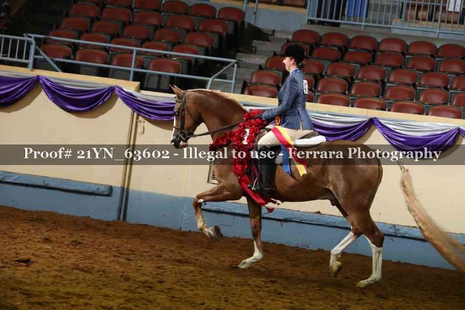 Proof 21YN_63602