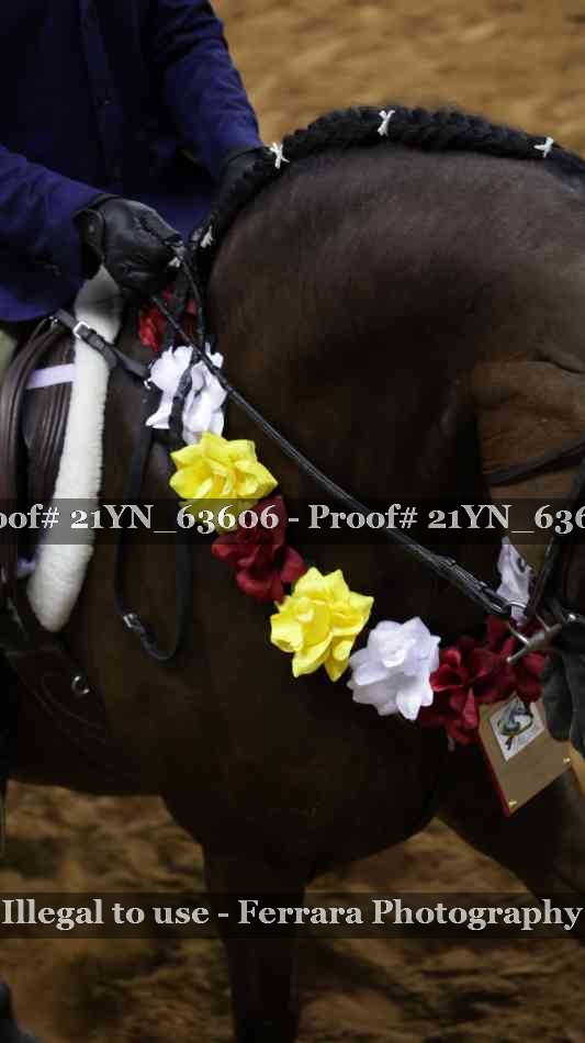 Proof 21YN_63606