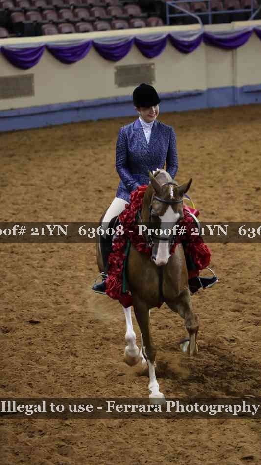 Proof 21YN_63608
