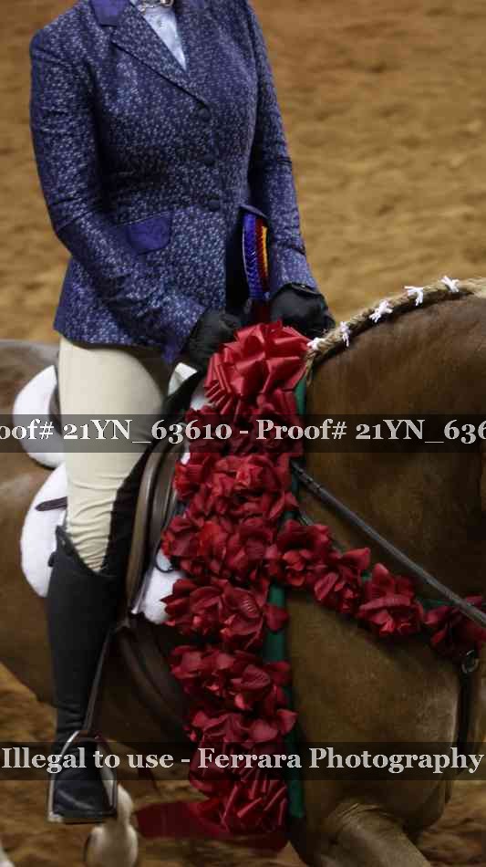 Proof 21YN_63610