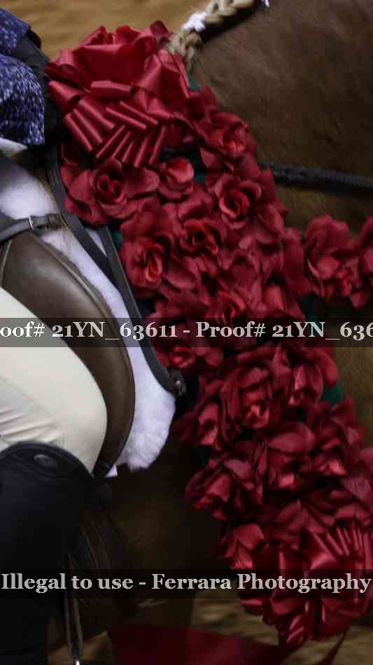 Proof 21YN_63611