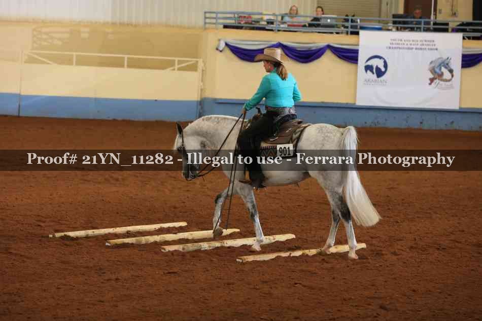 Proof 21YN_11282