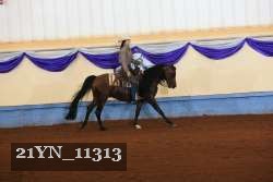 21YN_11313 proof