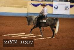 21YN_11317 proof