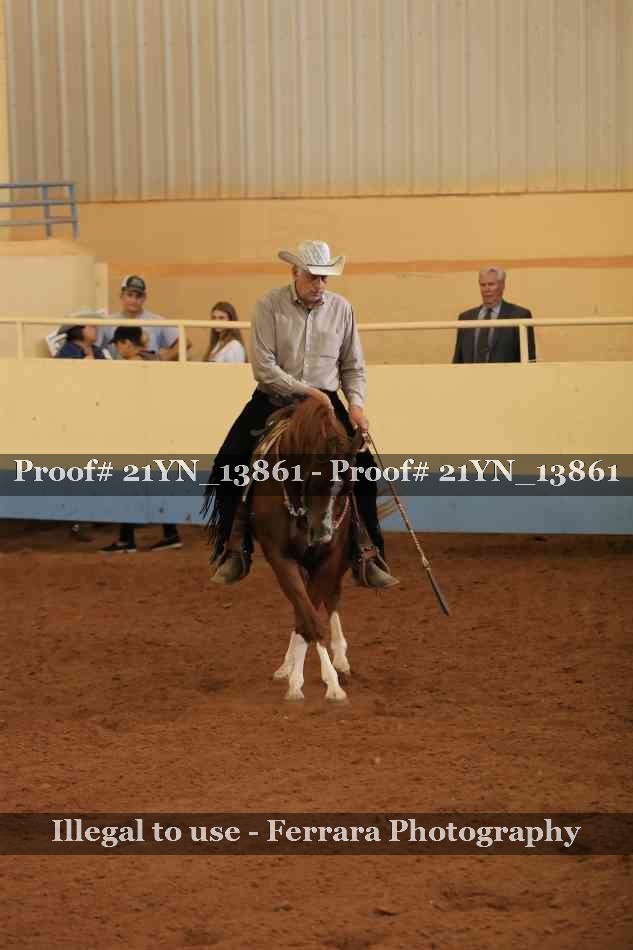 Proof 21YN_13861