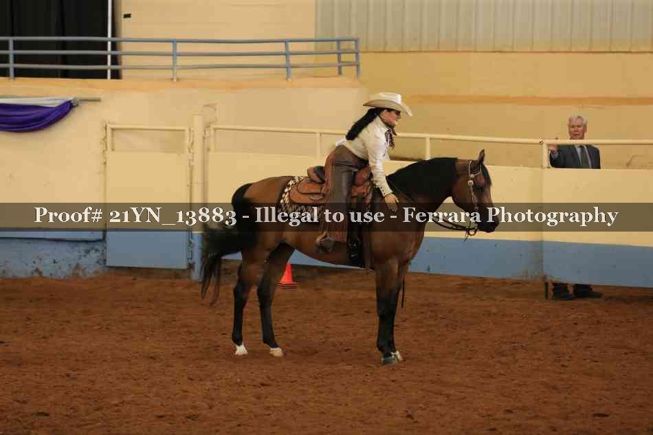 Proof 21YN_13883