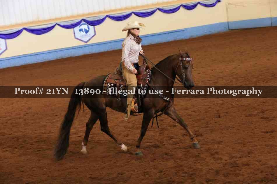 Proof 21YN_13890