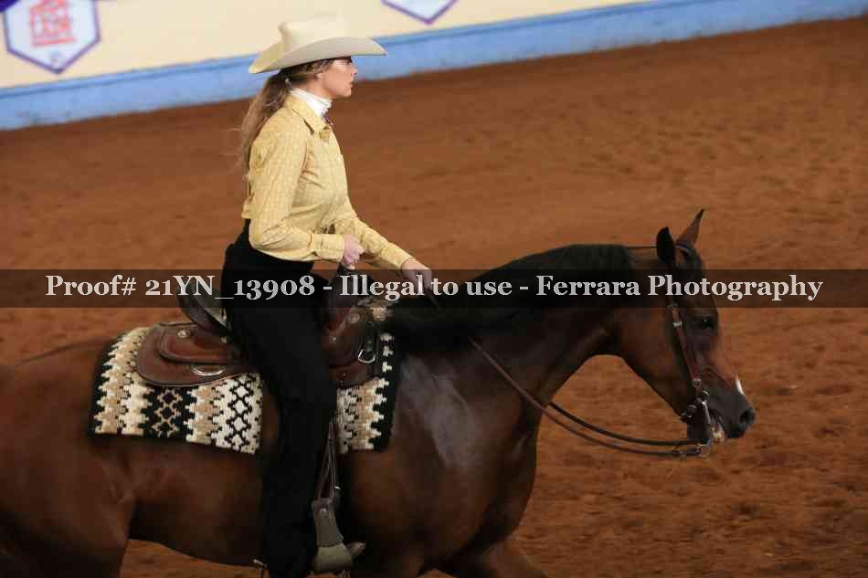 Proof 21YN_13908