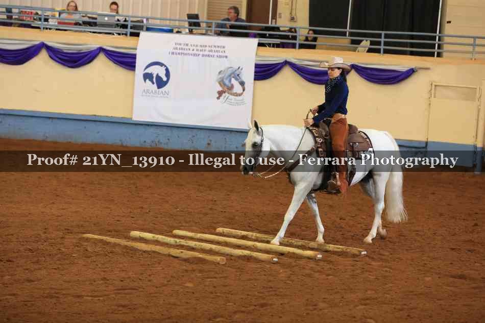Proof 21YN_13910