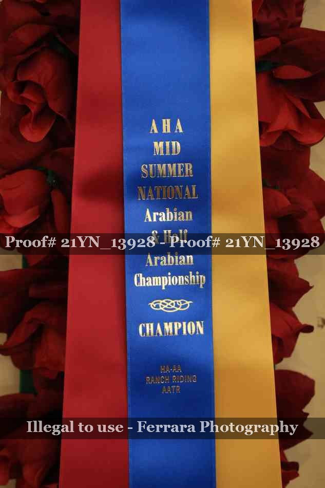 Proof 21YN_13928