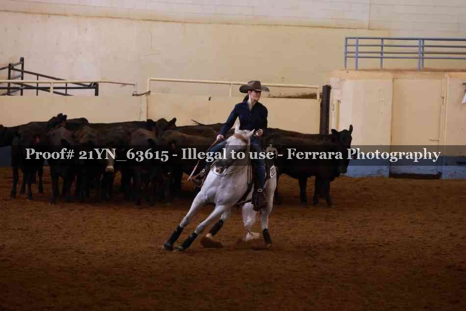Proof 21YN_63615