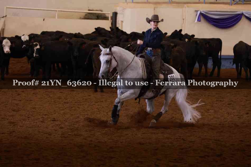 Proof 21YN_63620