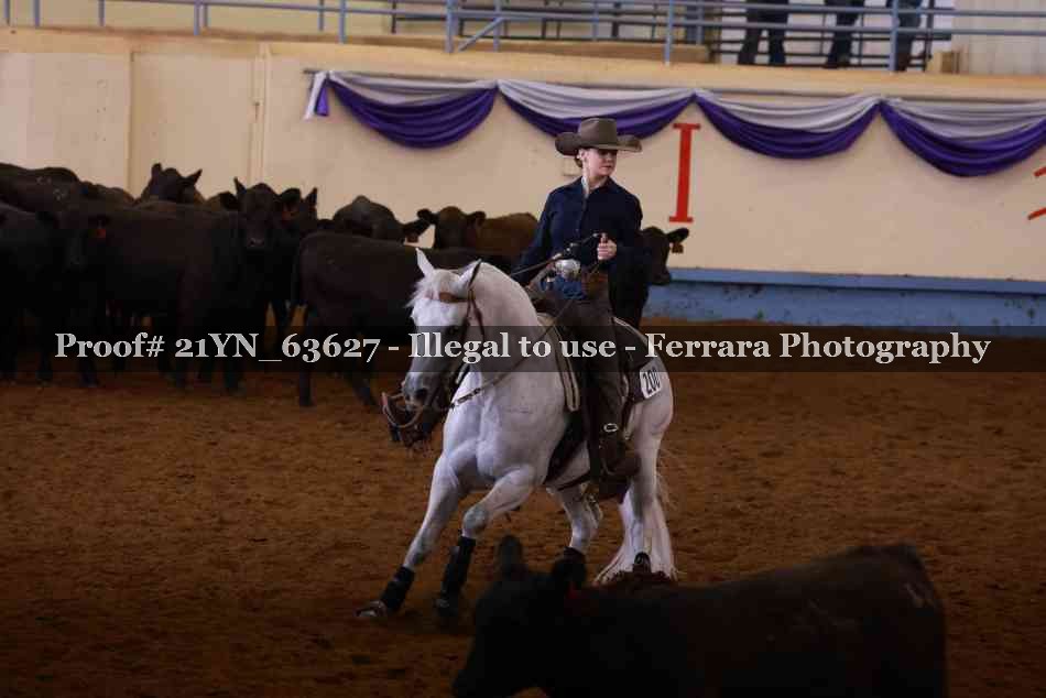 Proof 21YN_63627