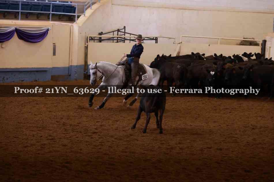 Proof 21YN_63629