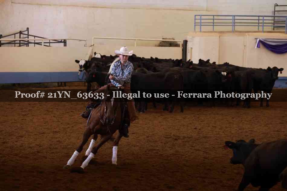 Proof 21YN_63633