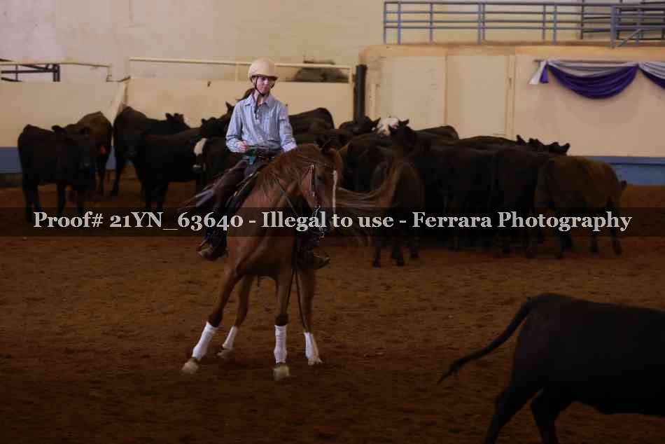 Proof 21YN_63640