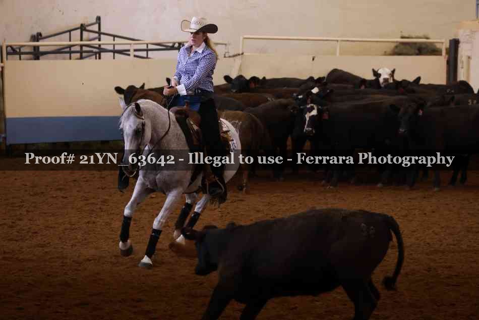 Proof 21YN_63642