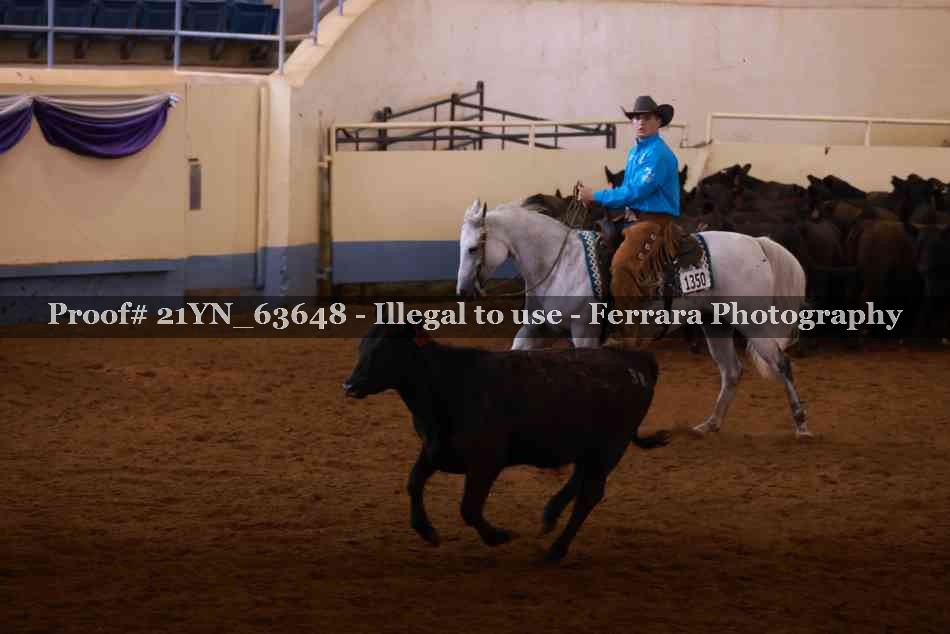 Proof 21YN_63648