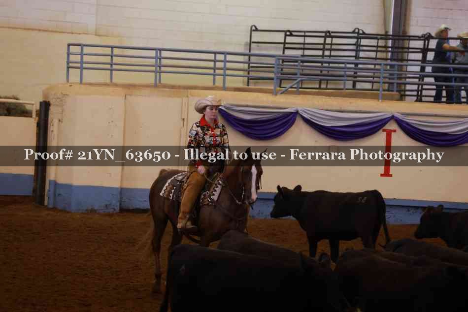 Proof 21YN_63650