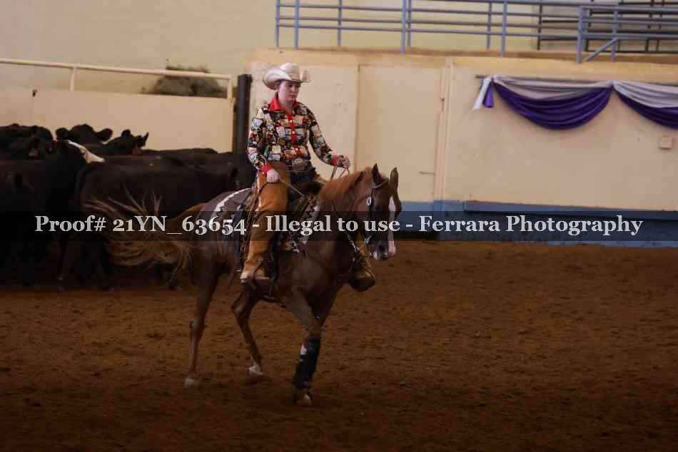 Proof 21YN_63654