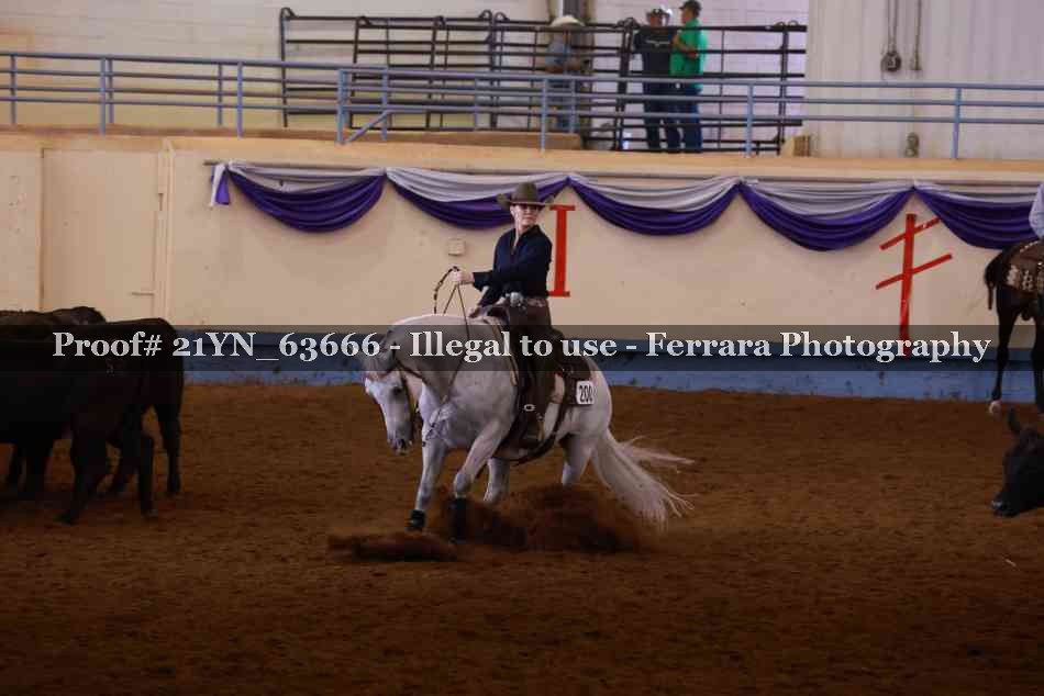 Proof 21YN_63666