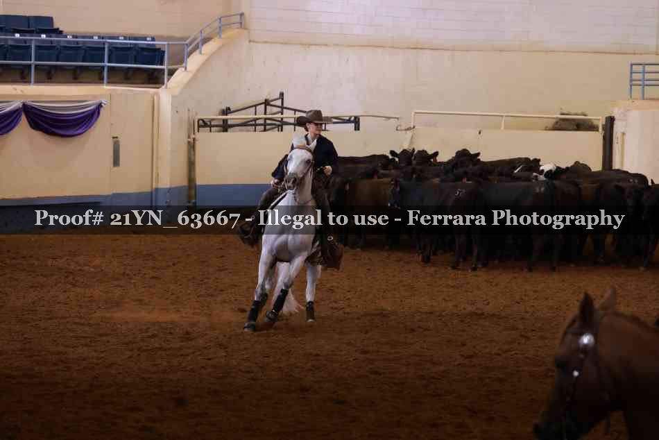 Proof 21YN_63667