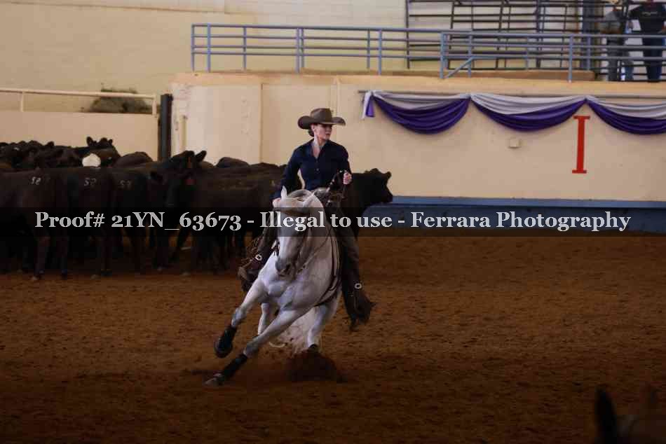 Proof 21YN_63673