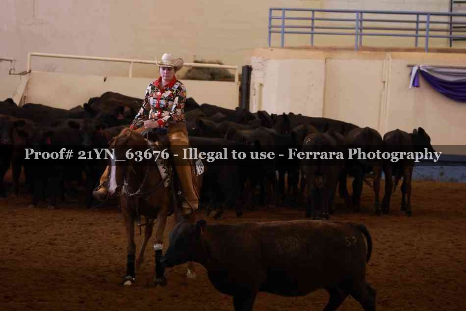 Proof 21YN_63676
