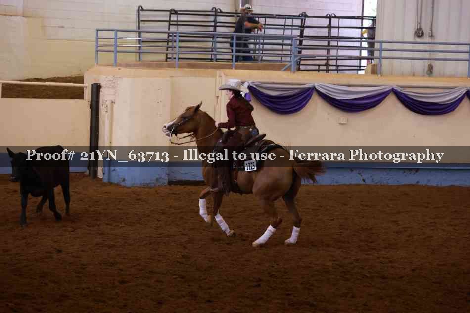Proof 21YN_63713