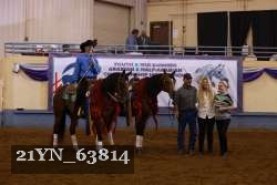 21YN_63814 proof