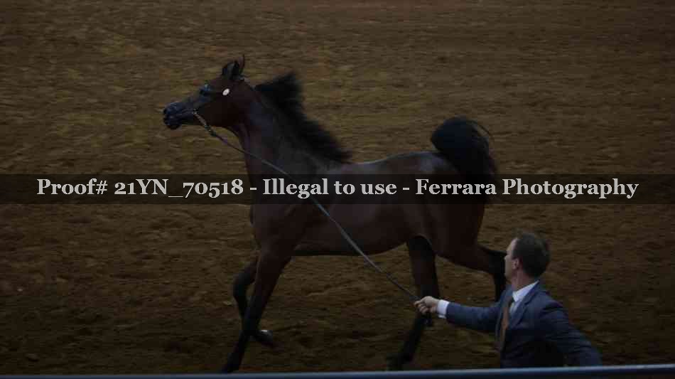 Proof 21YN_70518