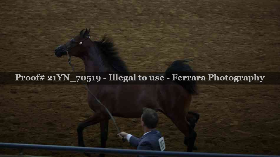 Proof 21YN_70519