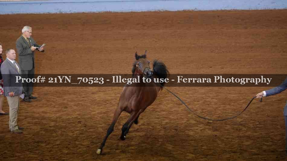 Proof 21YN_70523