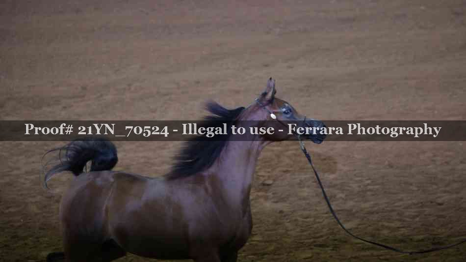 Proof 21YN_70524