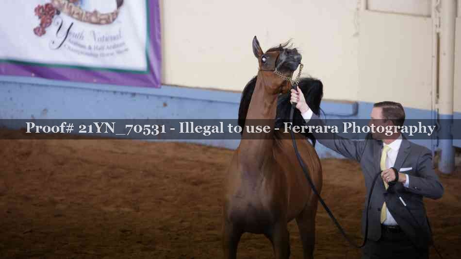 Proof 21YN_70531