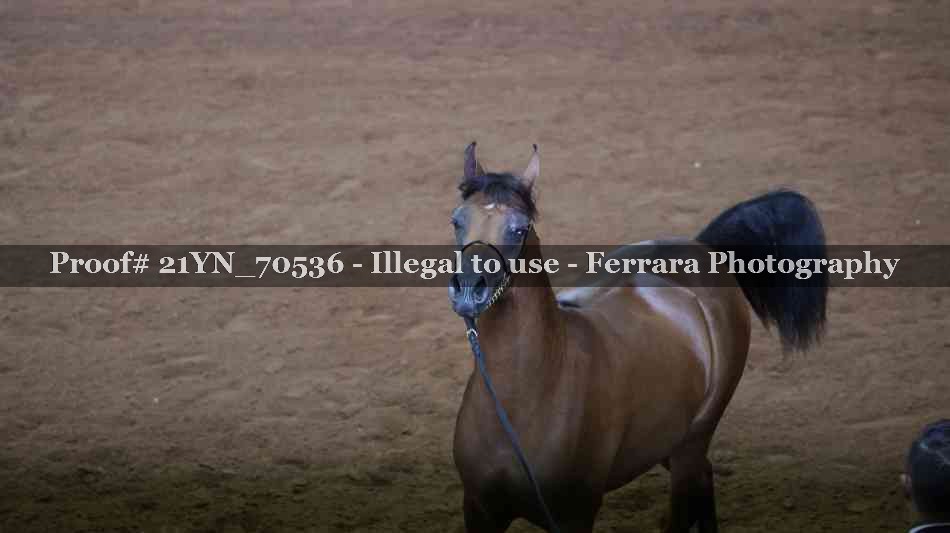 Proof 21YN_70536