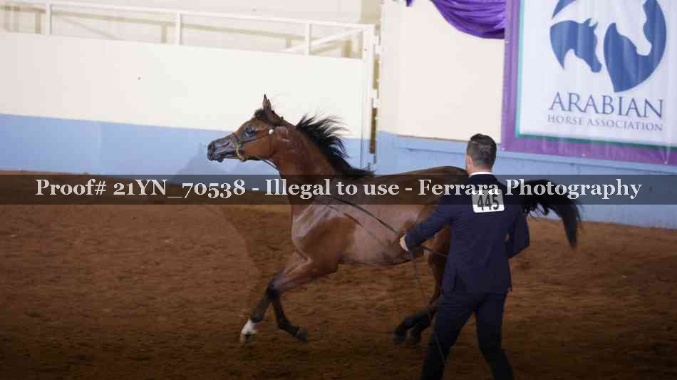 Proof 21YN_70538