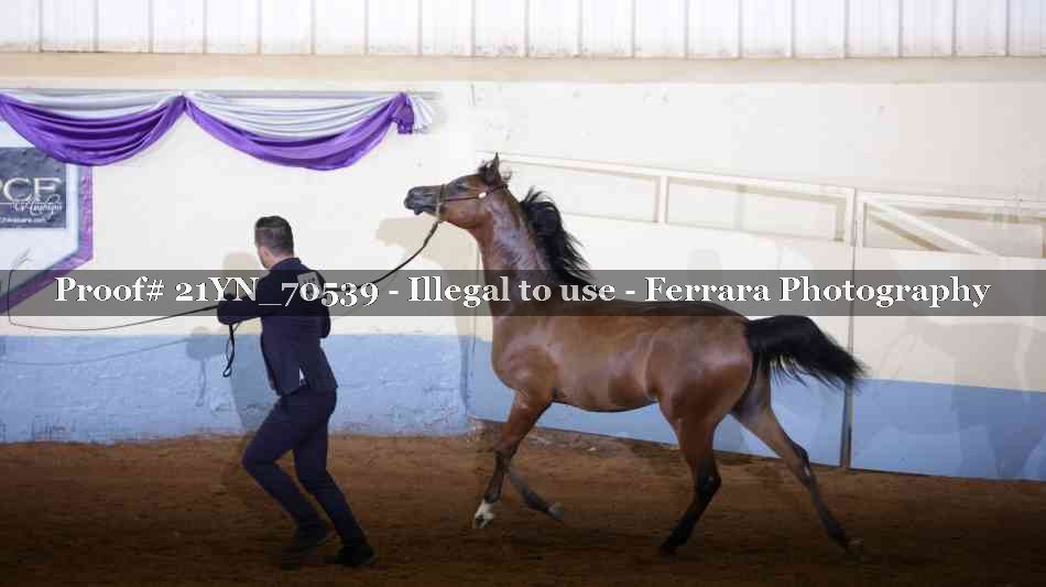 Proof 21YN_70539