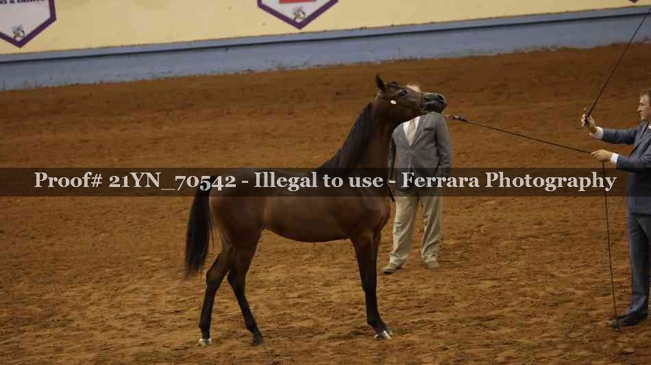 Proof 21YN_70542