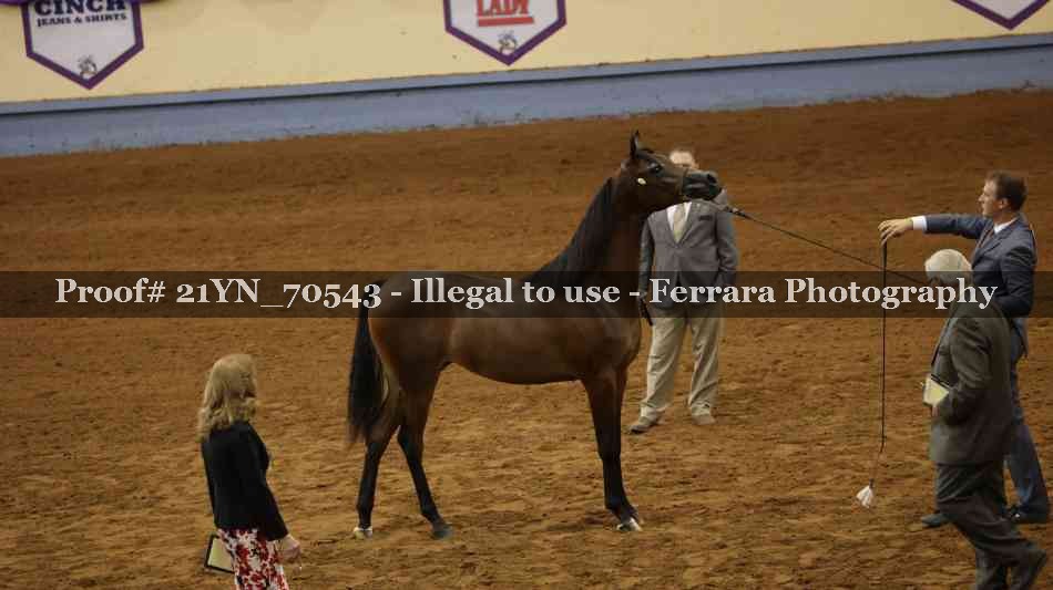 Proof 21YN_70543