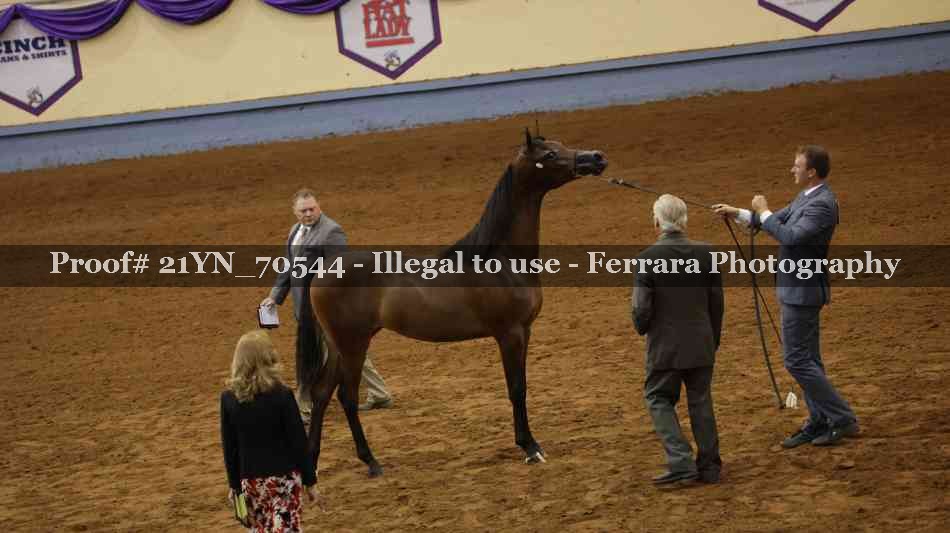 Proof 21YN_70544