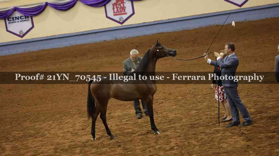 Proof 21YN_70545