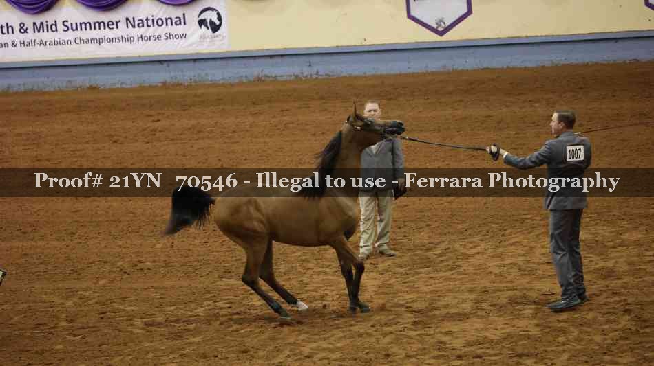 Proof 21YN_70546