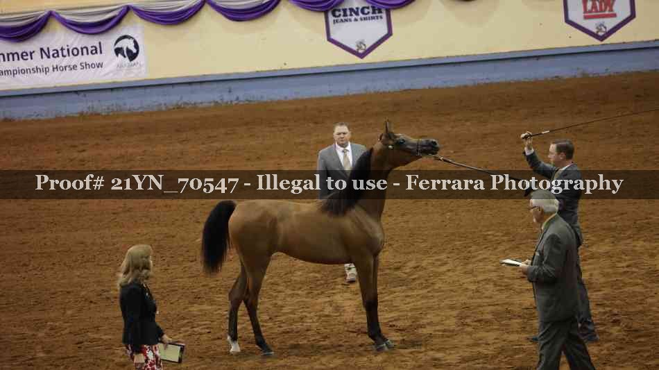 Proof 21YN_70547