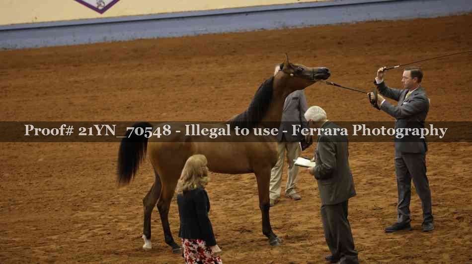 Proof 21YN_70548