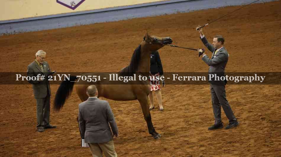 Proof 21YN_70551